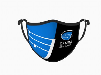 Gemini Full Color Safety Mask